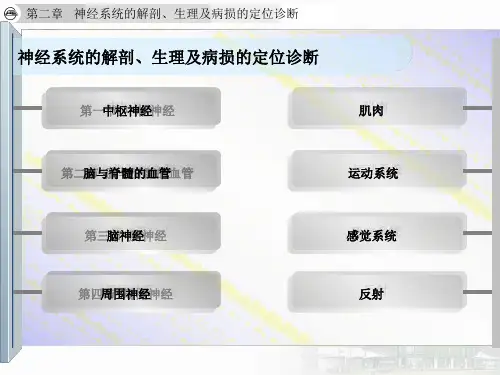 神经系统的解剖生理及病损的定位诊断.ppt