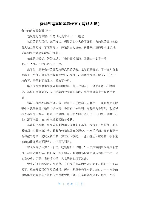 奋斗的青春最美丽作文(精彩8篇)