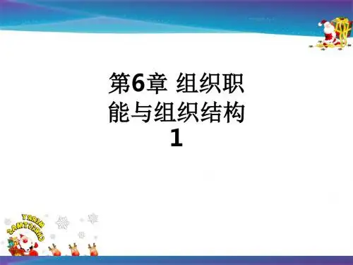 第6章 组织职能与组织结构1ppt课件