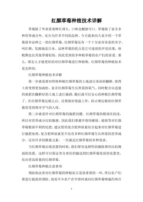 红颜草莓种植技术详解