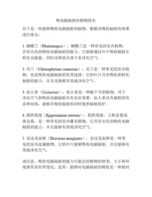 吸电脑辐射的植物排名