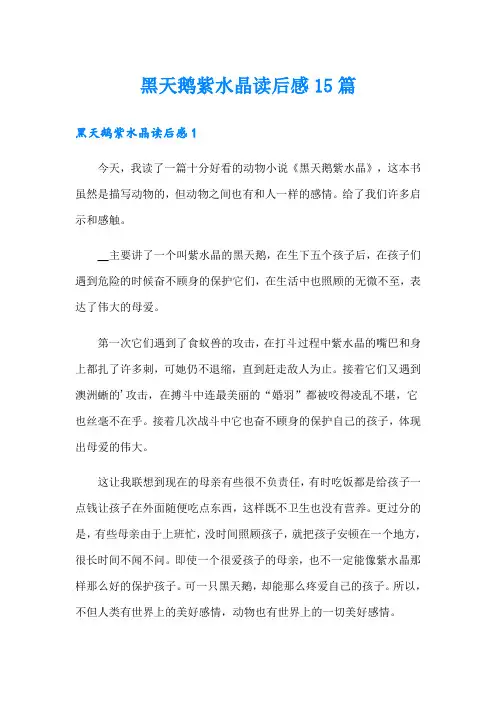 黑天鹅紫水晶读后感15篇