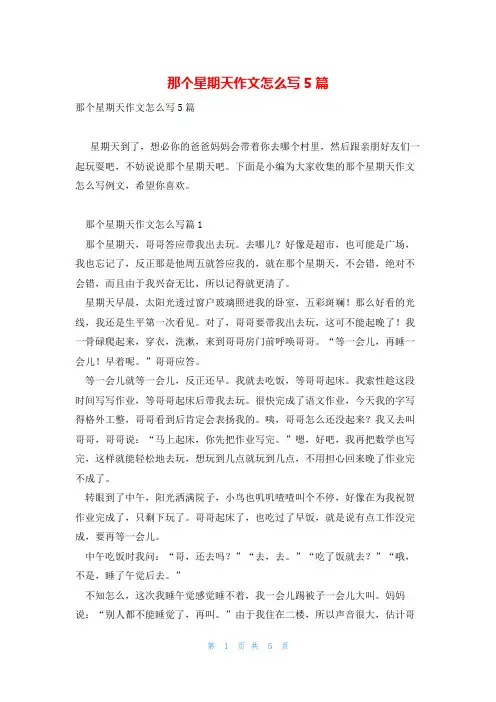 那个星期天作文怎么写5篇