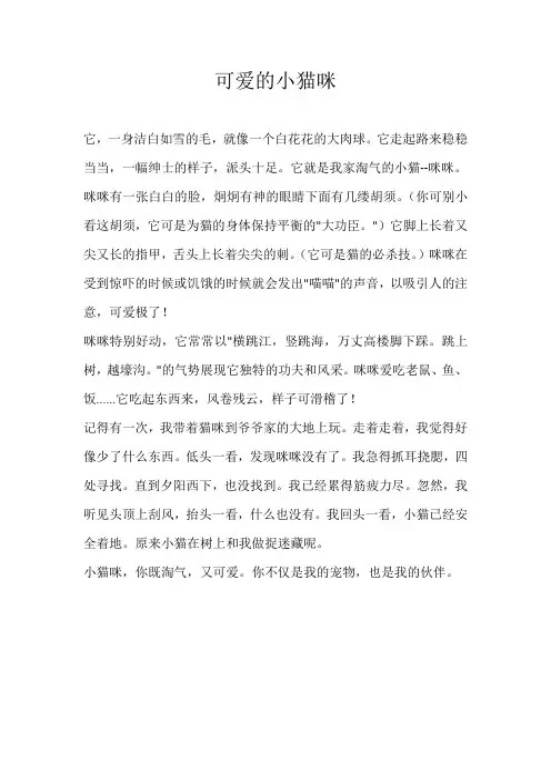 六年级状物可爱的小猫咪