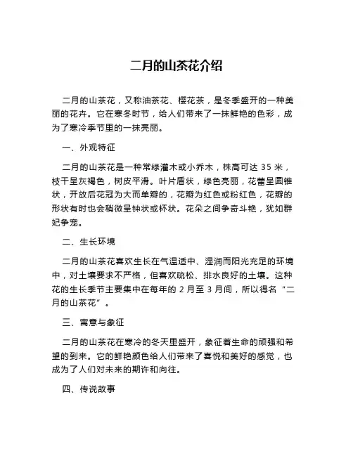 二月的山茶花介绍