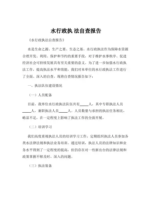 水行政执 法自查报告