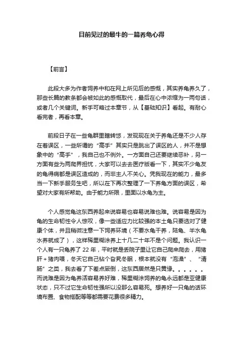 目前见过的最牛的一篇养龟心得