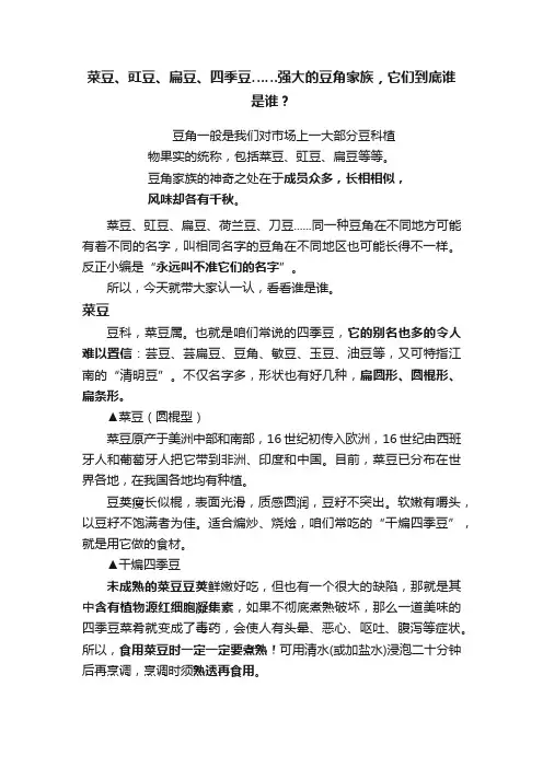 菜豆、豇豆、扁豆、四季豆……强大的豆角家族，它们到底谁是谁？