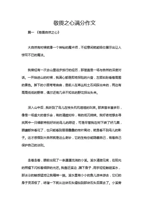 敬畏之心满分作文
