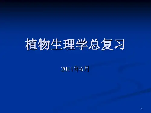 植物生理学总复习PPT课件