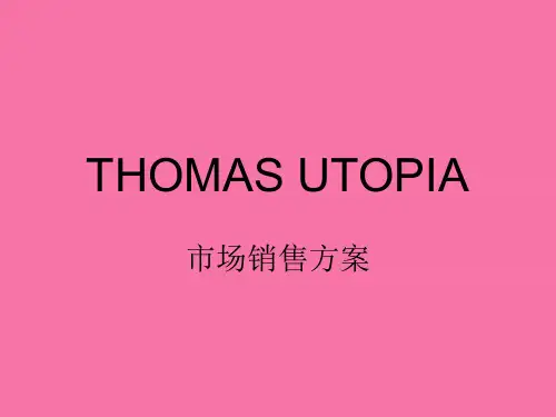 番茄酱市场销售计划ppt课件