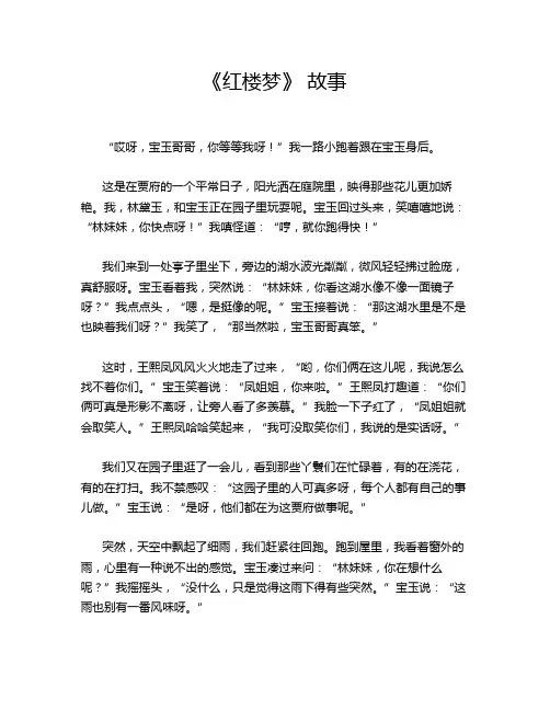 《红楼梦》 故事