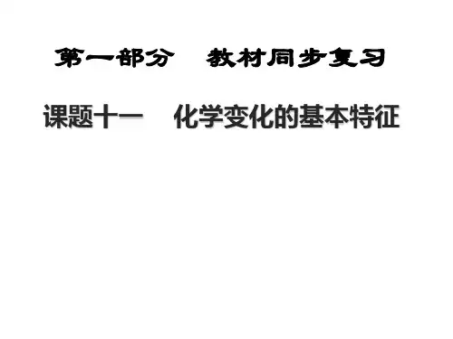 化学变化的基本特征PPT课件