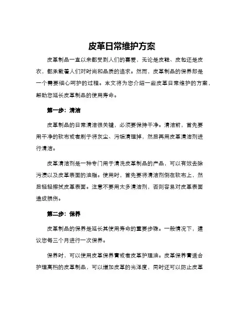 皮革日常维护方案