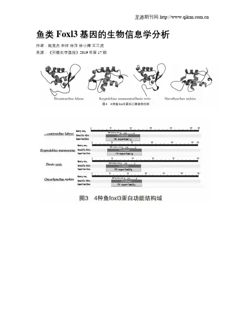 鱼类Foxl3基因的生物信息学分析
