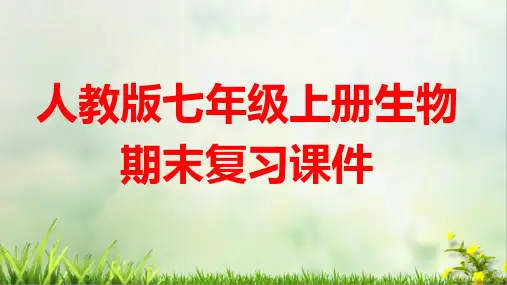 人教版七年级上册生物期末复习课件(共44张PPT)