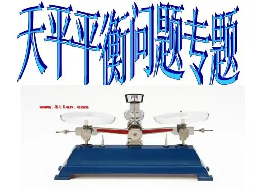天平平衡问题课件10.9.9