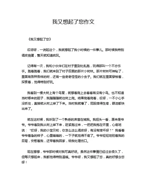 我又想起了您作文