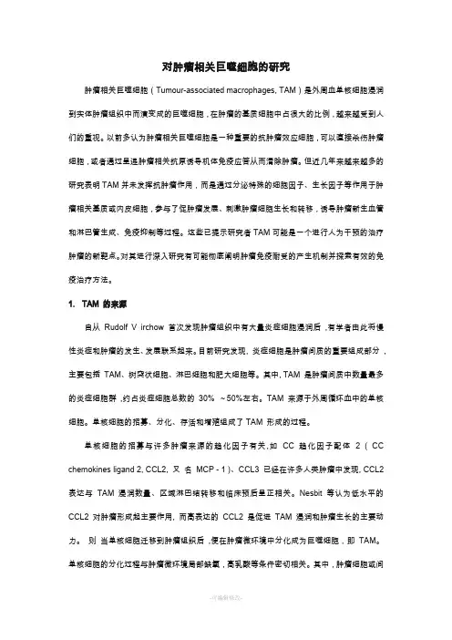 肿瘤相关巨噬细胞