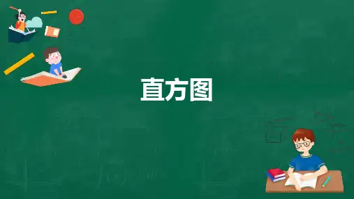 《直方图》课件PPT人教版1