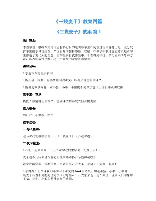 《三袋麦子》教案四篇