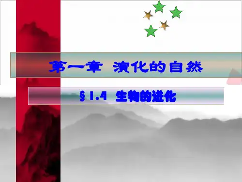 人教版初中生物《生物的进化》_课件-完美版