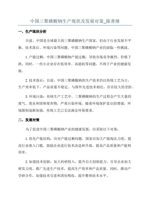 中国三聚磷酸钠生产现状及发展对策_陈善继