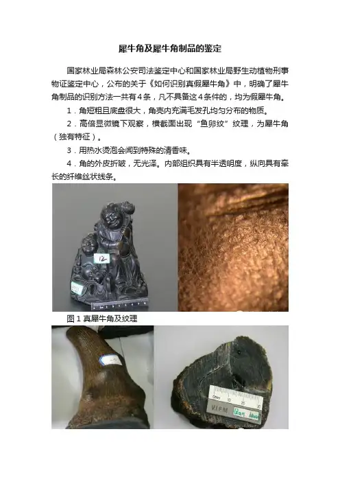 犀牛角及犀牛角制品的鉴定