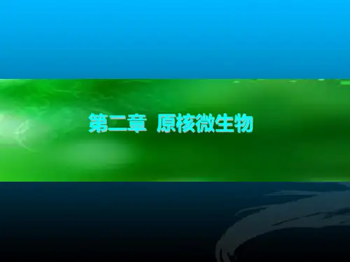 第二章 原核微生物PPT课件