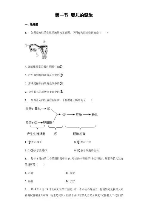 2023-2024学年济南版八年级上册第4单元第3章第1节《婴儿的诞生》习题(解析版)