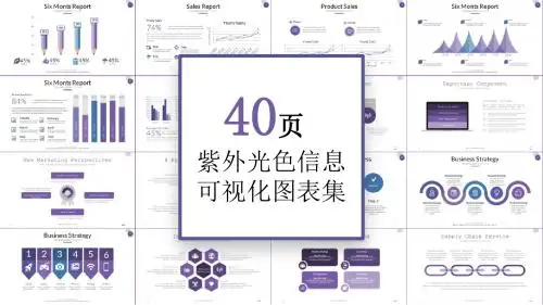 紫外光色信息 可视化图表精美高端大气PPT图表逻辑图关系图表 (36)