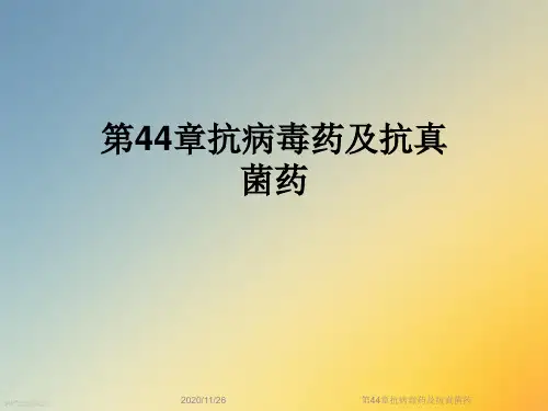 第44章抗病毒药及抗真菌药