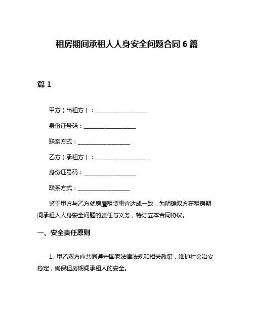 租房期间承租人人身安全问题合同6篇