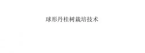 球形丹桂树栽培技术