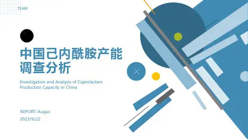 2022年中国己内酰胺产能调查分析