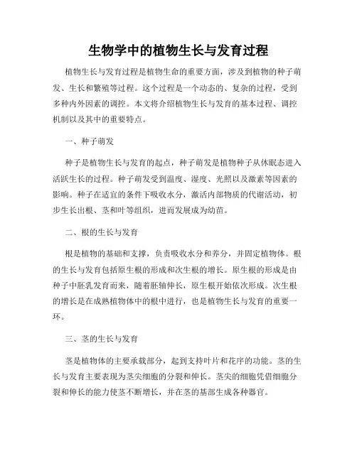 生物学中的植物生长与发育过程