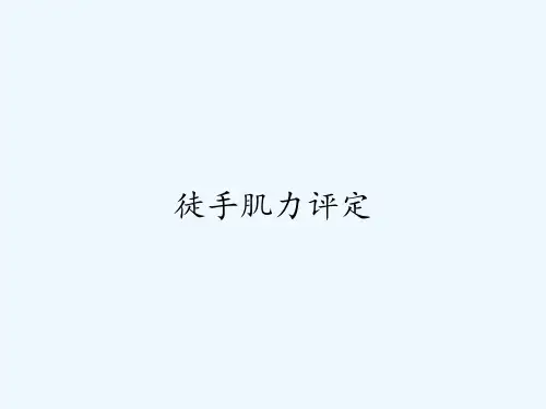 徒手肌力评定
