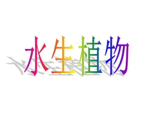 (三上)科学实用教学课件水生植物教科版