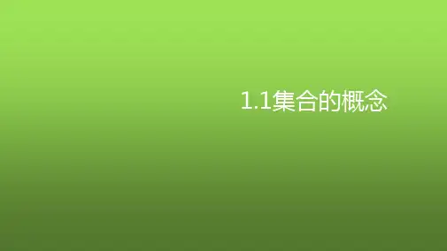 海南省华东师范大学第二附属中学乐东黄流中学高中数学必修一课件：11集合的定义(共12张PPT)