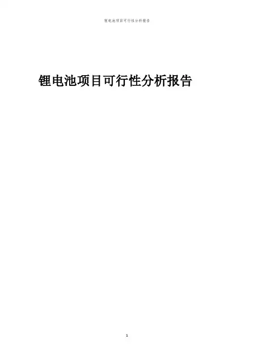 锂电池项目可行性分析报告