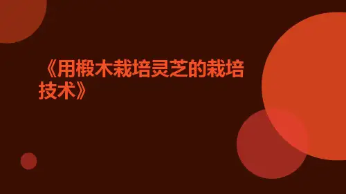 用椴木栽培灵芝的栽培技术
