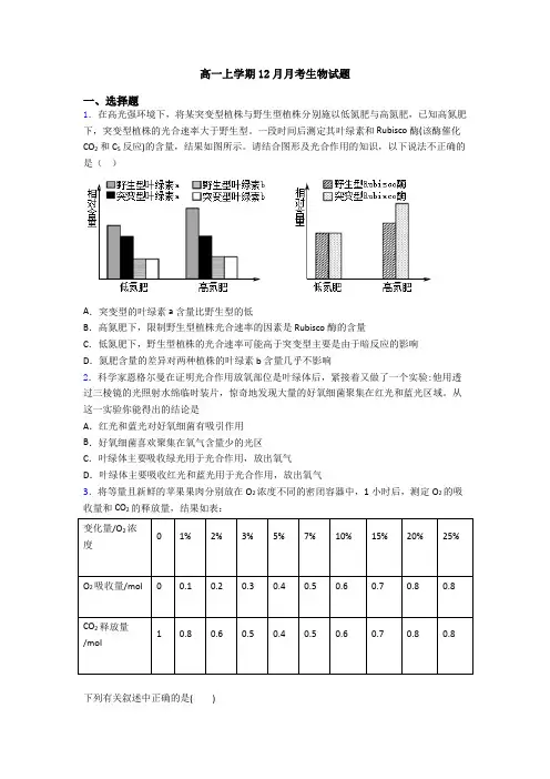 高一上学期12月月考生物试题