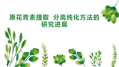 原花青素提取 分离纯化方法的研究进展