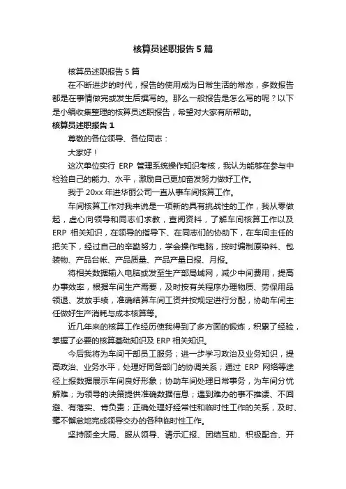 核算员述职报告5篇