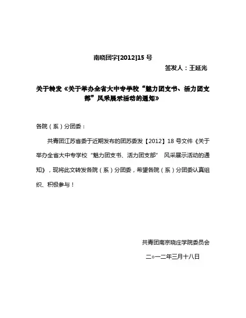 魅力团支书文件