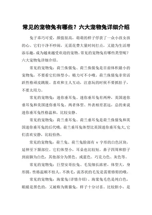 常见的宠物兔有哪些？六大宠物兔详细介绍