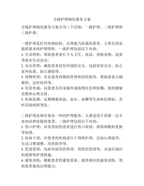 分级护理细化服务方案