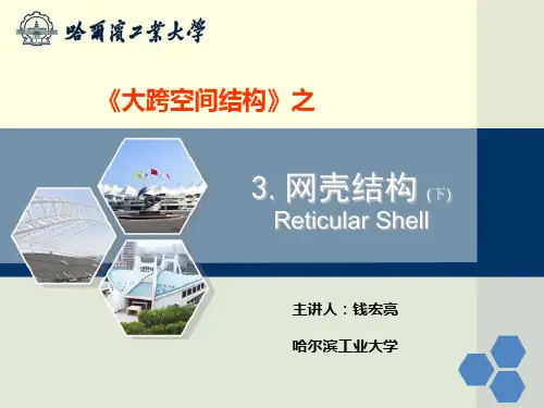 3网壳结构(下)