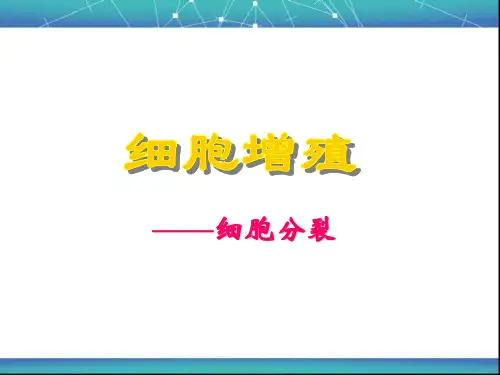 细胞的增殖 课件