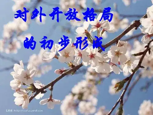 对外开放格局的初步形成